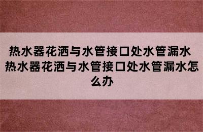 热水器花洒与水管接口处水管漏水 热水器花洒与水管接口处水管漏水怎么办